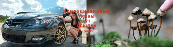 таблы Саяногорск