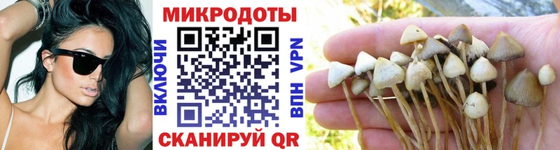 Псилоцибиновые грибы MAGIC MUSHROOMS  Купить где  Старая Русса 